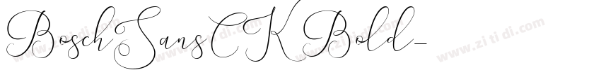 BoschSansCK Bold字体转换